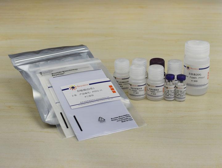 Mouse TNF-α ELISA Kit